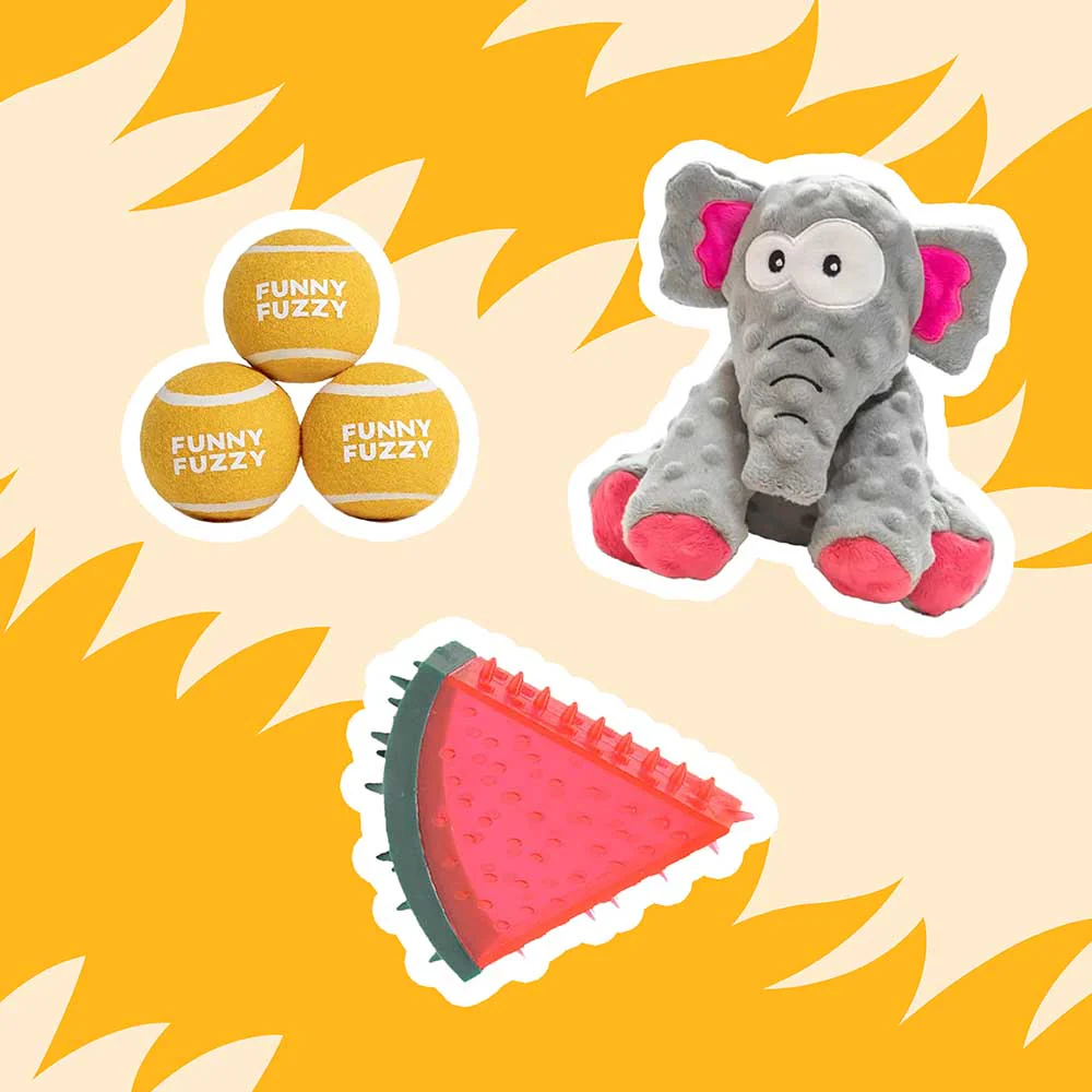 Happy Tails Toy Bundle - 5pcs