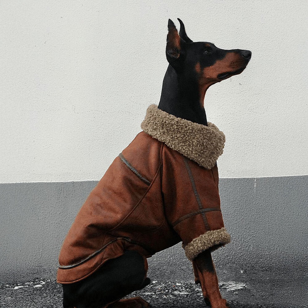 Vintage Aviator Dog Jacket with Shearling Lining - Warm and Stylish