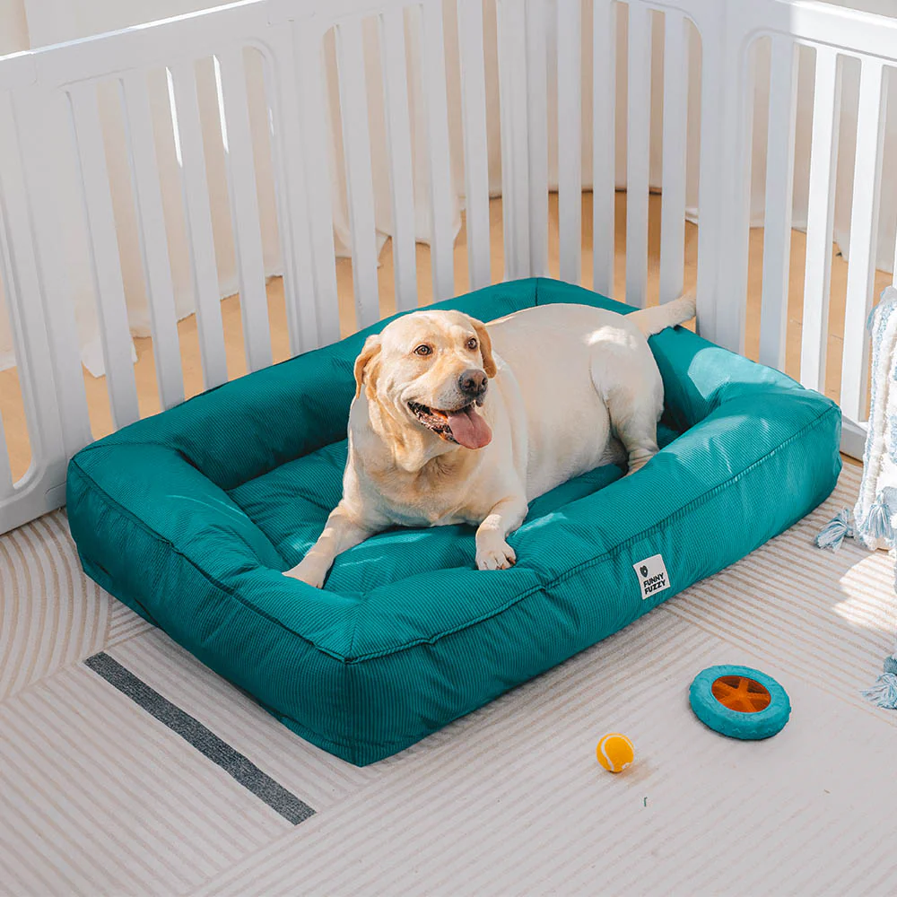 Fully Orthopedic Surround Support Waterproof Large Dog Bed