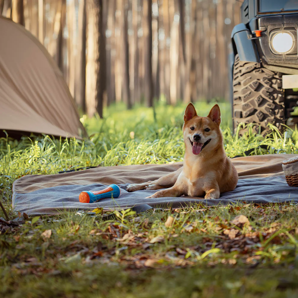 Classic Retro - Waterproof Camping & Car Dual-Use Back Seat Cover