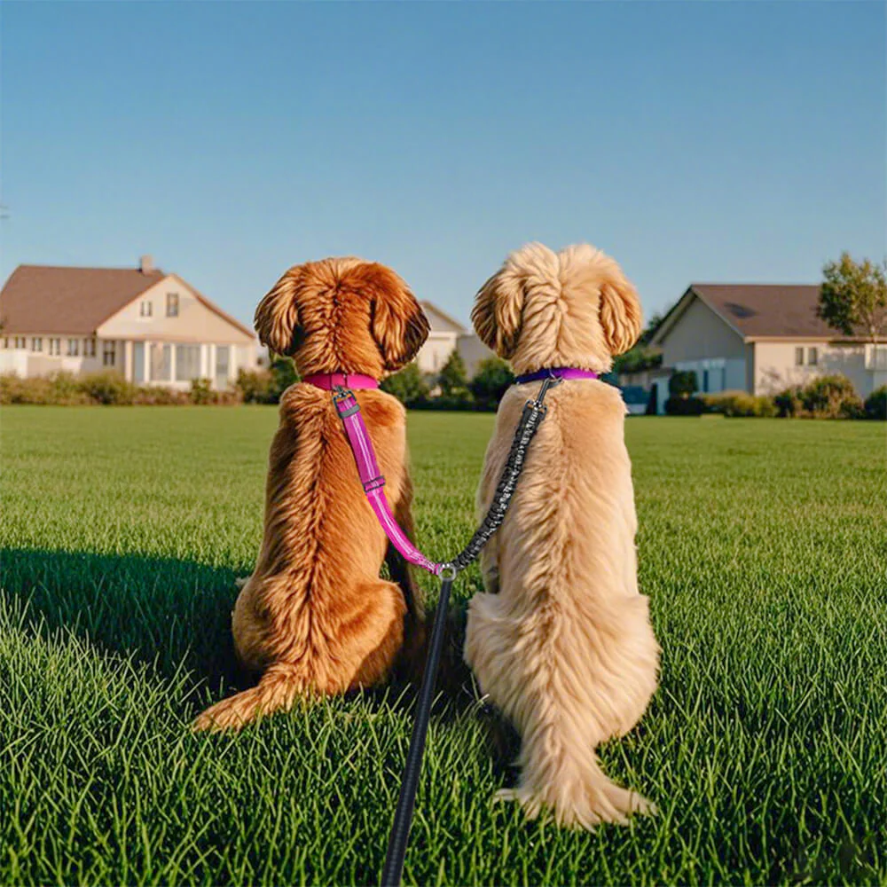 No-Tangle Shock Absorbing Double Lead Dog Leash