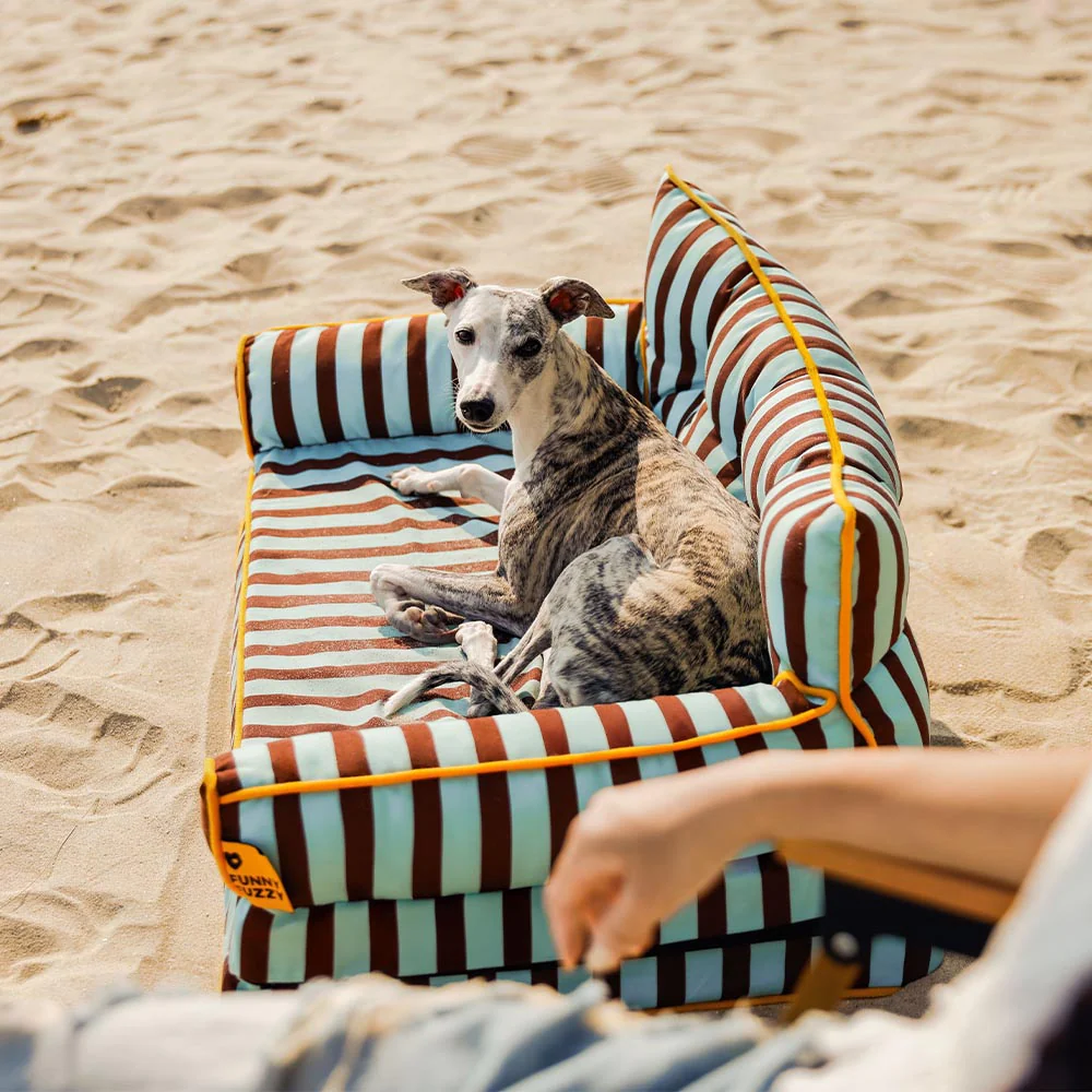 Stripe Waterproof Foldable Large Dog Sofa Bed - Sunny Siesta