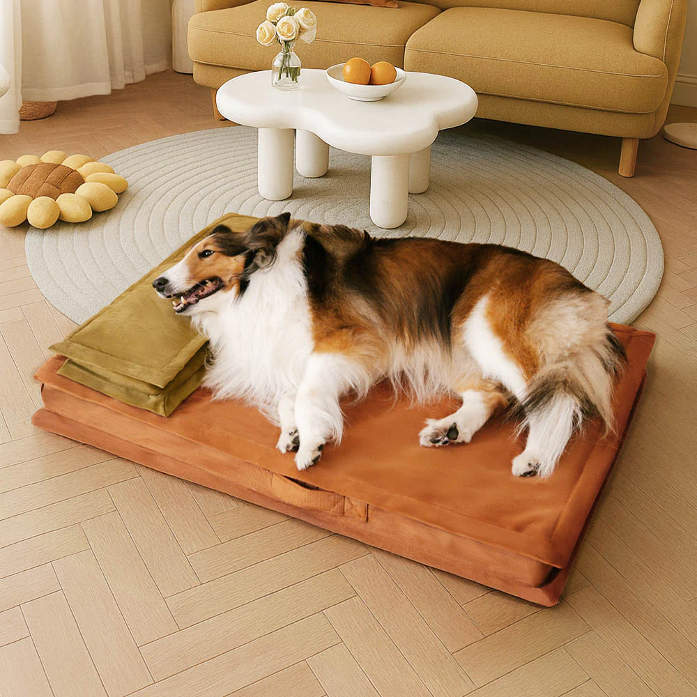 Anti-Anxiety with Sponge Support Deep Sleeping Dog Bed