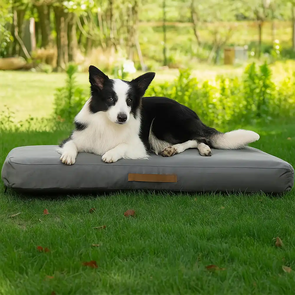 Portable Multi-function Water-resistant Scratch Resistant Inflatable Dog Bed