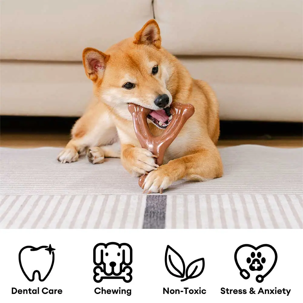 Teething Bones Dog Chew Toy - Bacon-Flavored