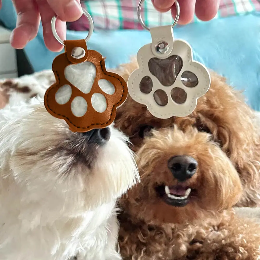 Pet Hair Memory Locket Keychain