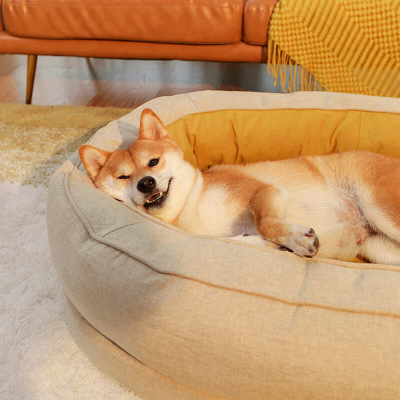 Dog Bed - Donut