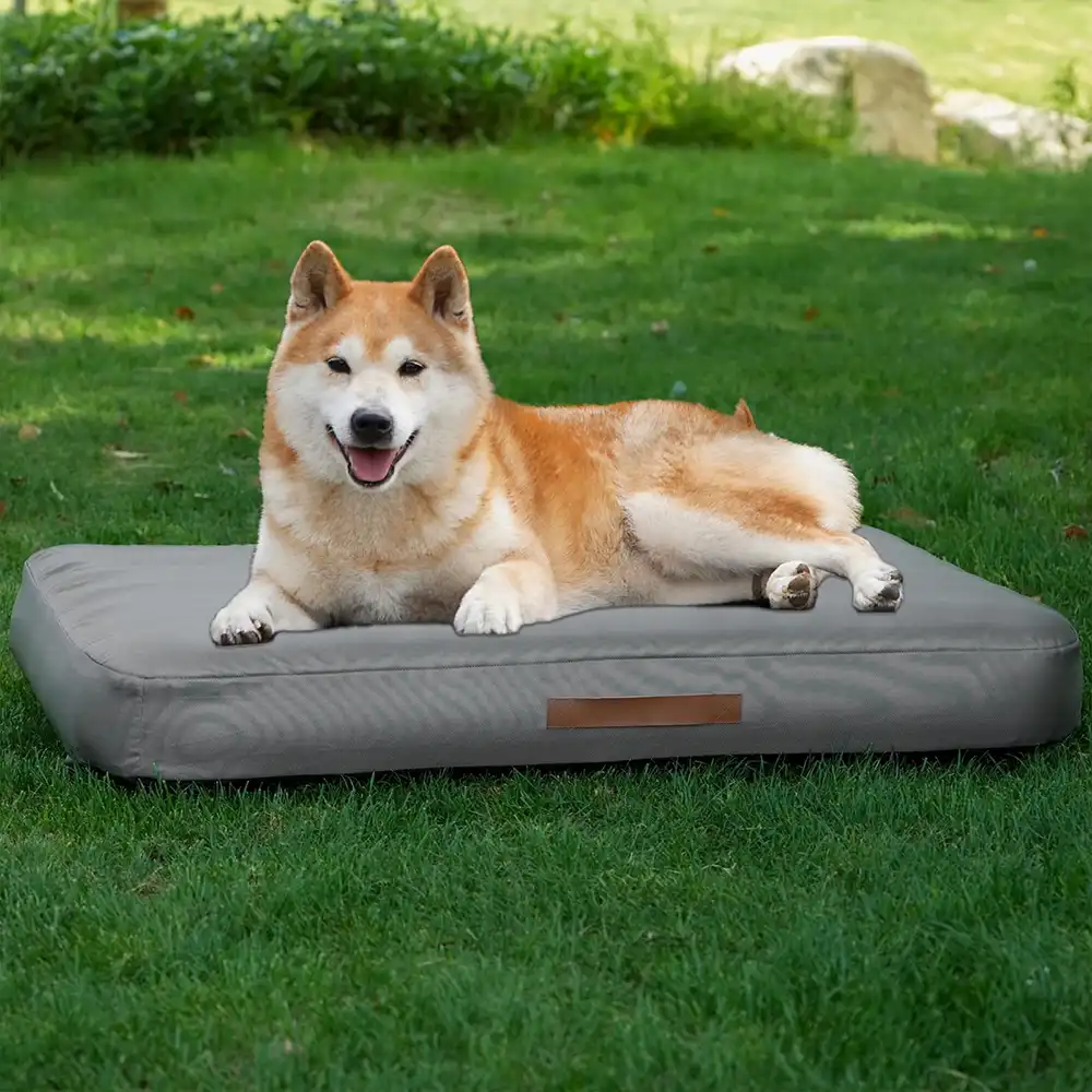 Portable Multi-function Water-resistant Scratch Resistant Inflatable Dog Bed
