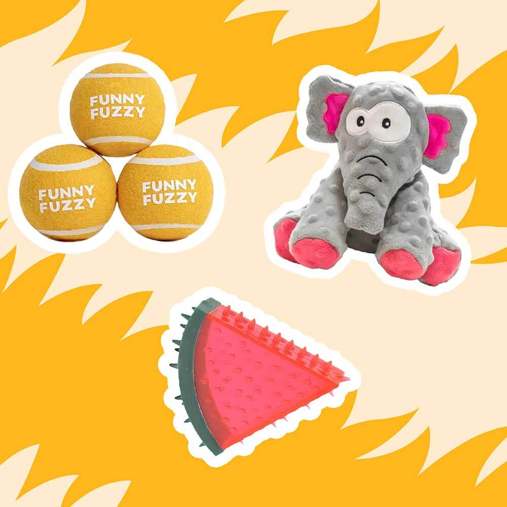Happy Tails Toy Bundle - 5pcs