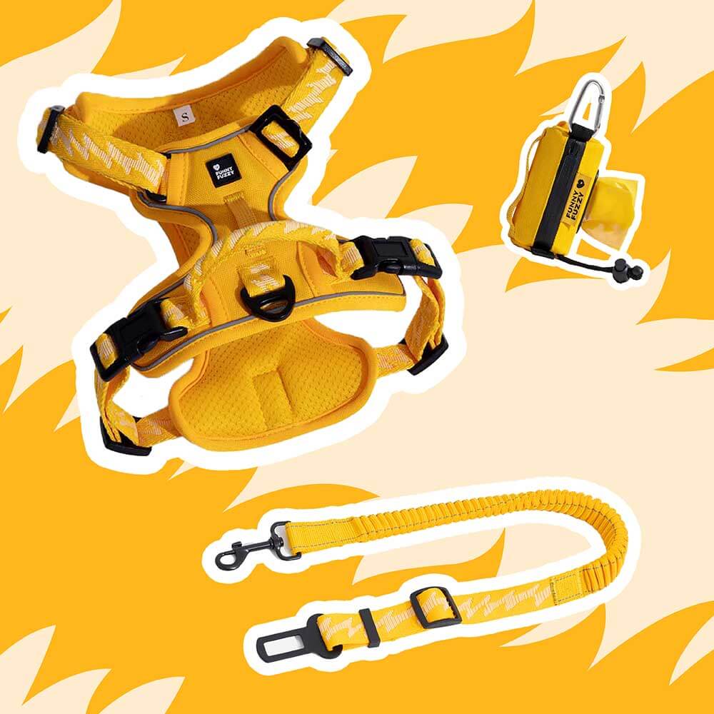 Yellow & Blue - Be Seen Walking Kit - 3pcs