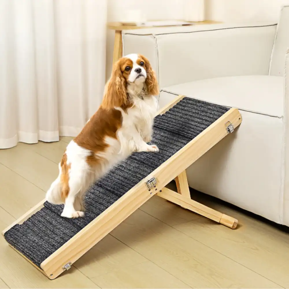 Wooden Dog Ramp 4 Levels Height Adjustable Foldable Dog Stairs