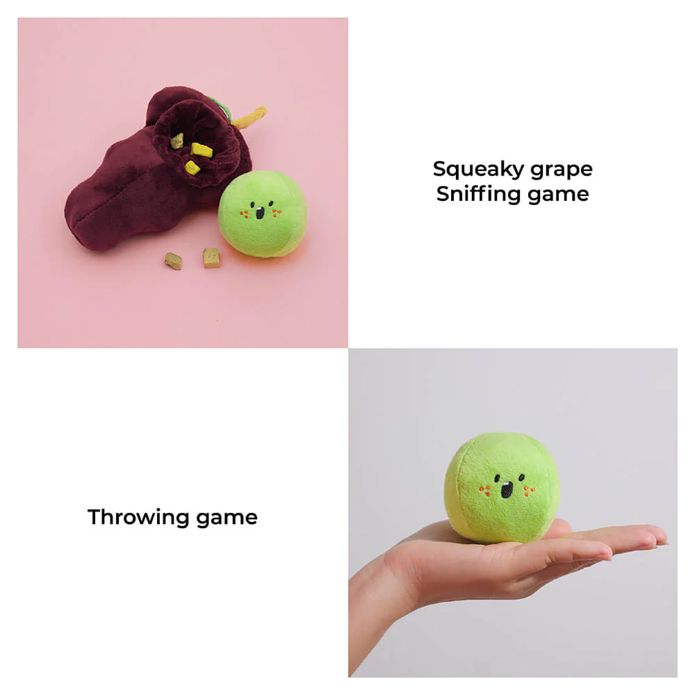 Plush Squeaky Dog Toys - Fruit