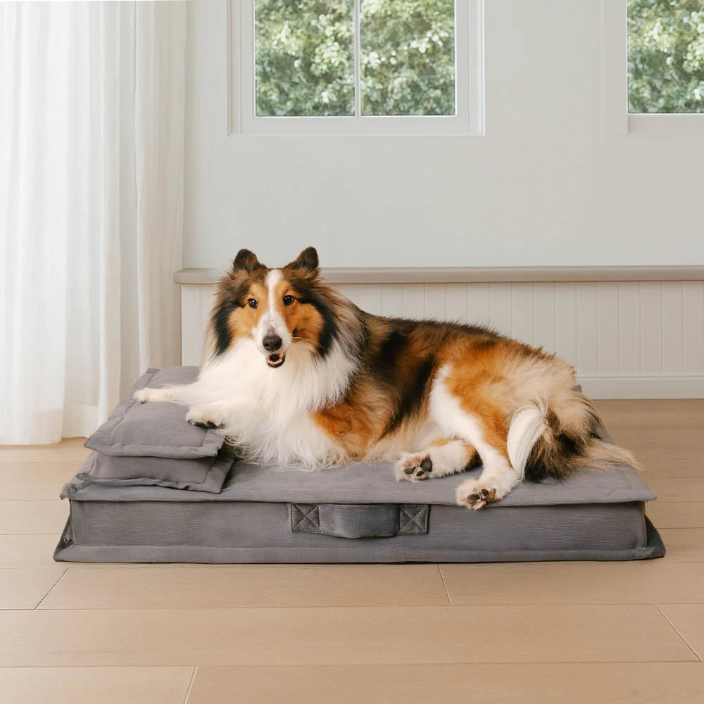 Anti-Anxiety with Sponge Support Deep Sleeping Dog Bed