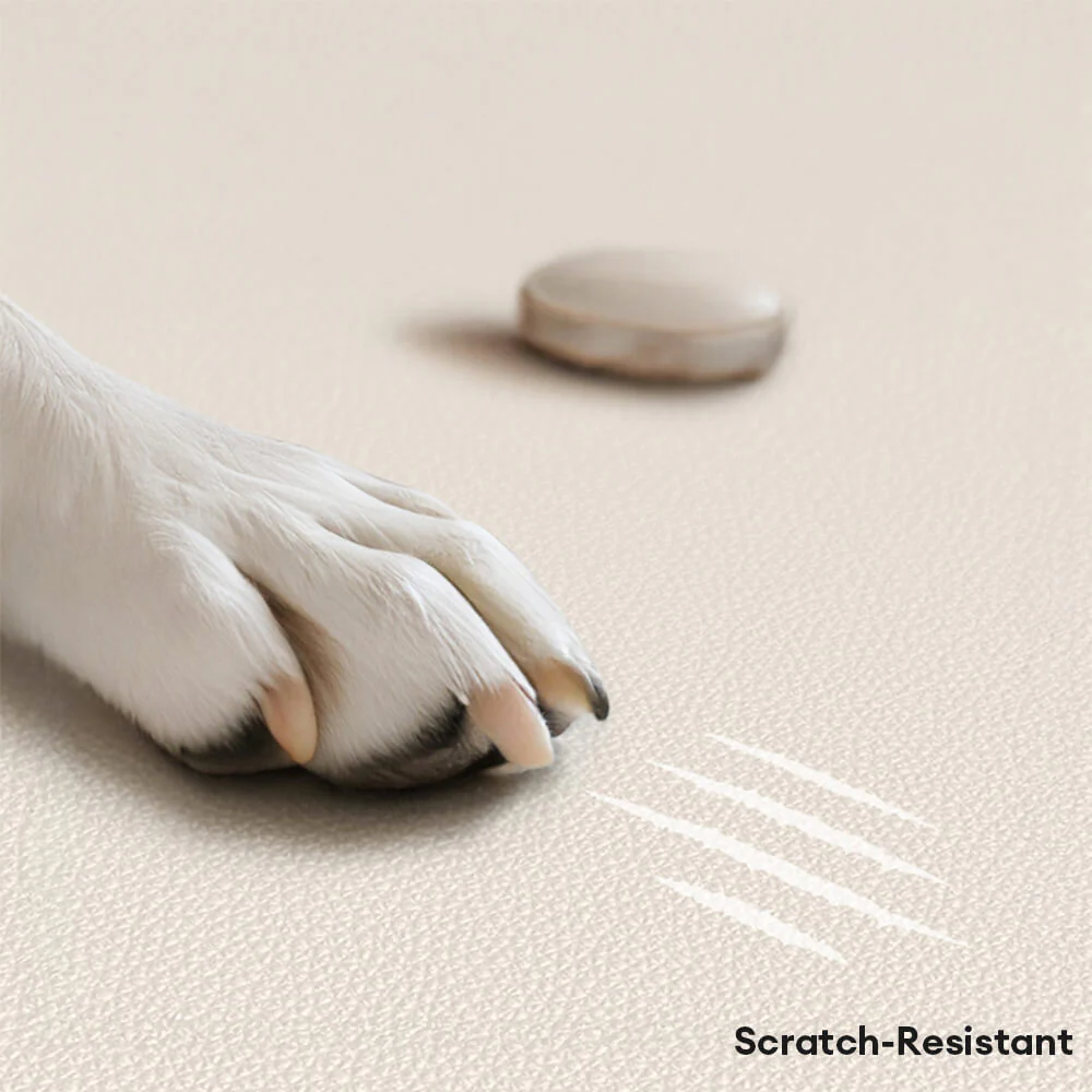 Luxury Natural Latex Supportive Anti-Scratch Dog & Cat Sofa Bed