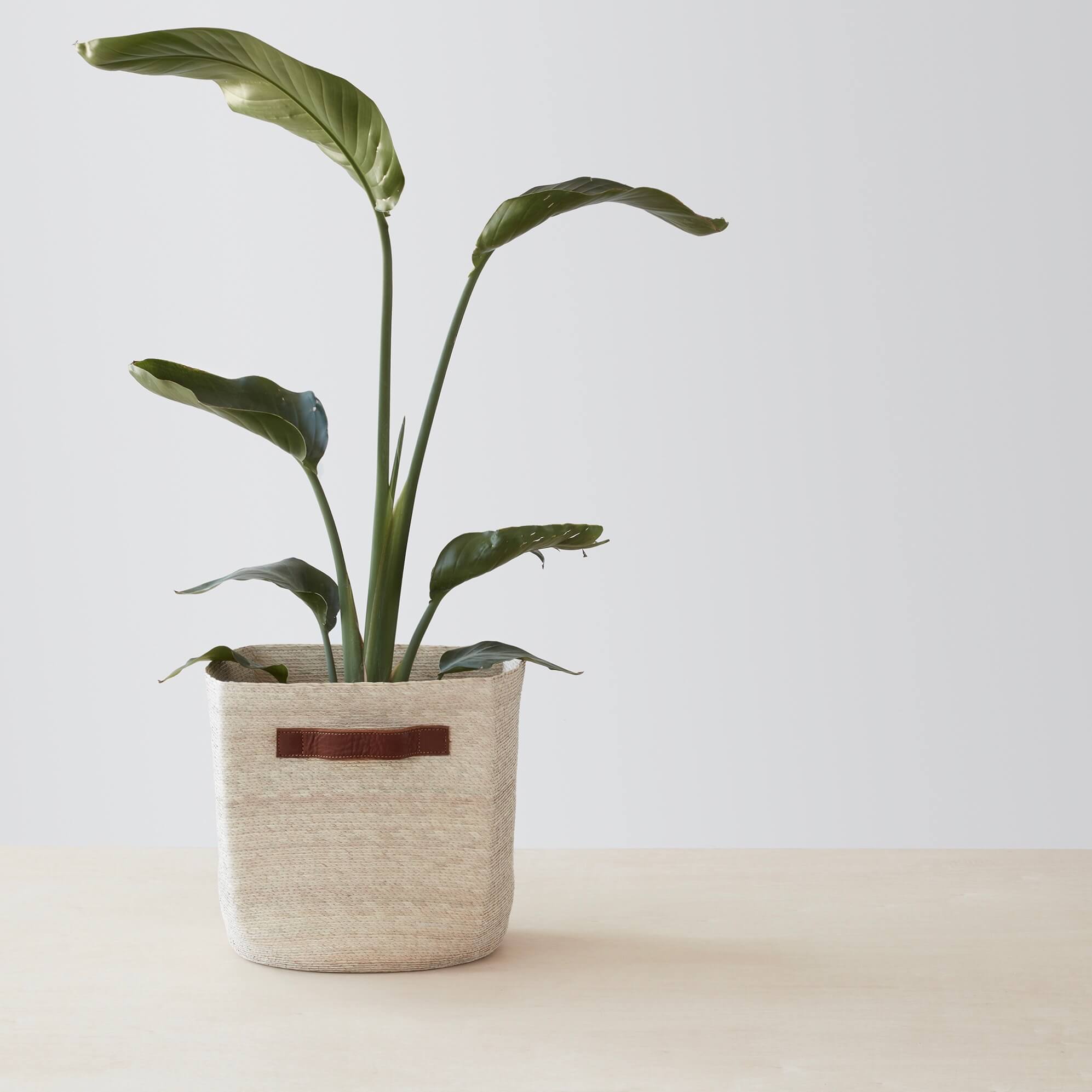 Mercado Storage Cube