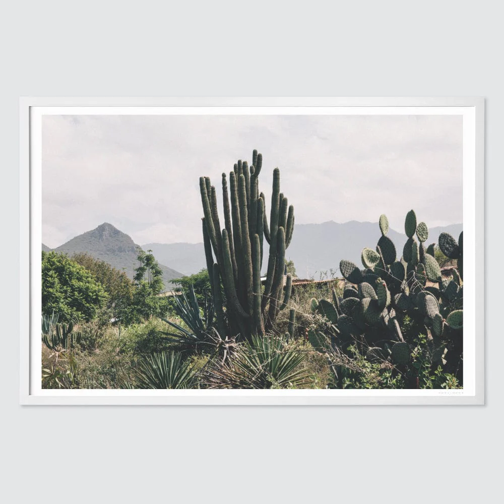 Oaxaca .01