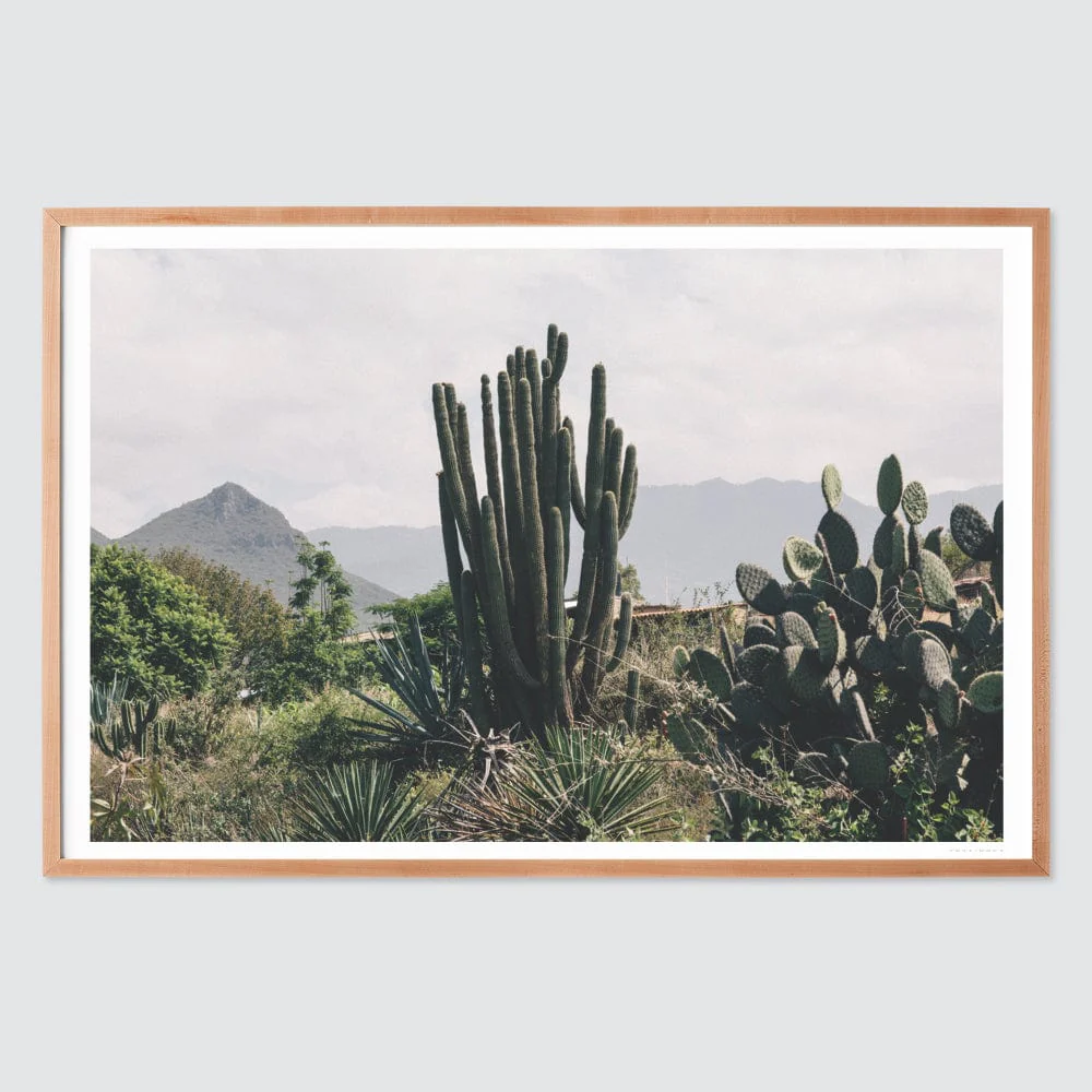 Oaxaca .01