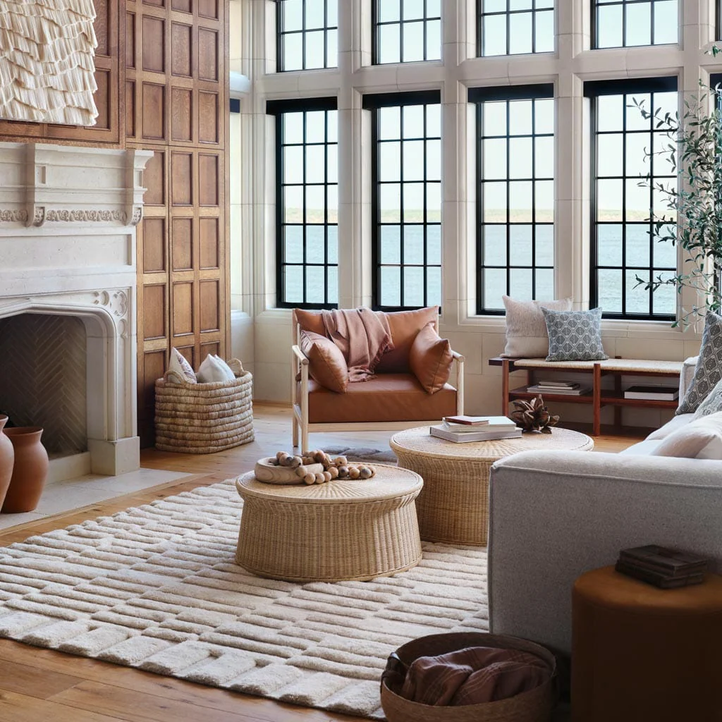 Adini Hand-Knotted Area Rug