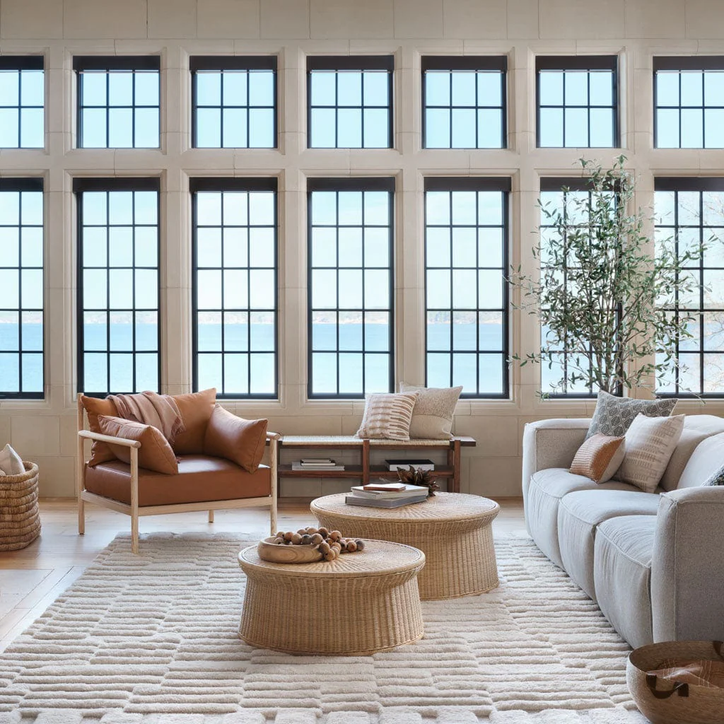 Adini Hand-Knotted Area Rug