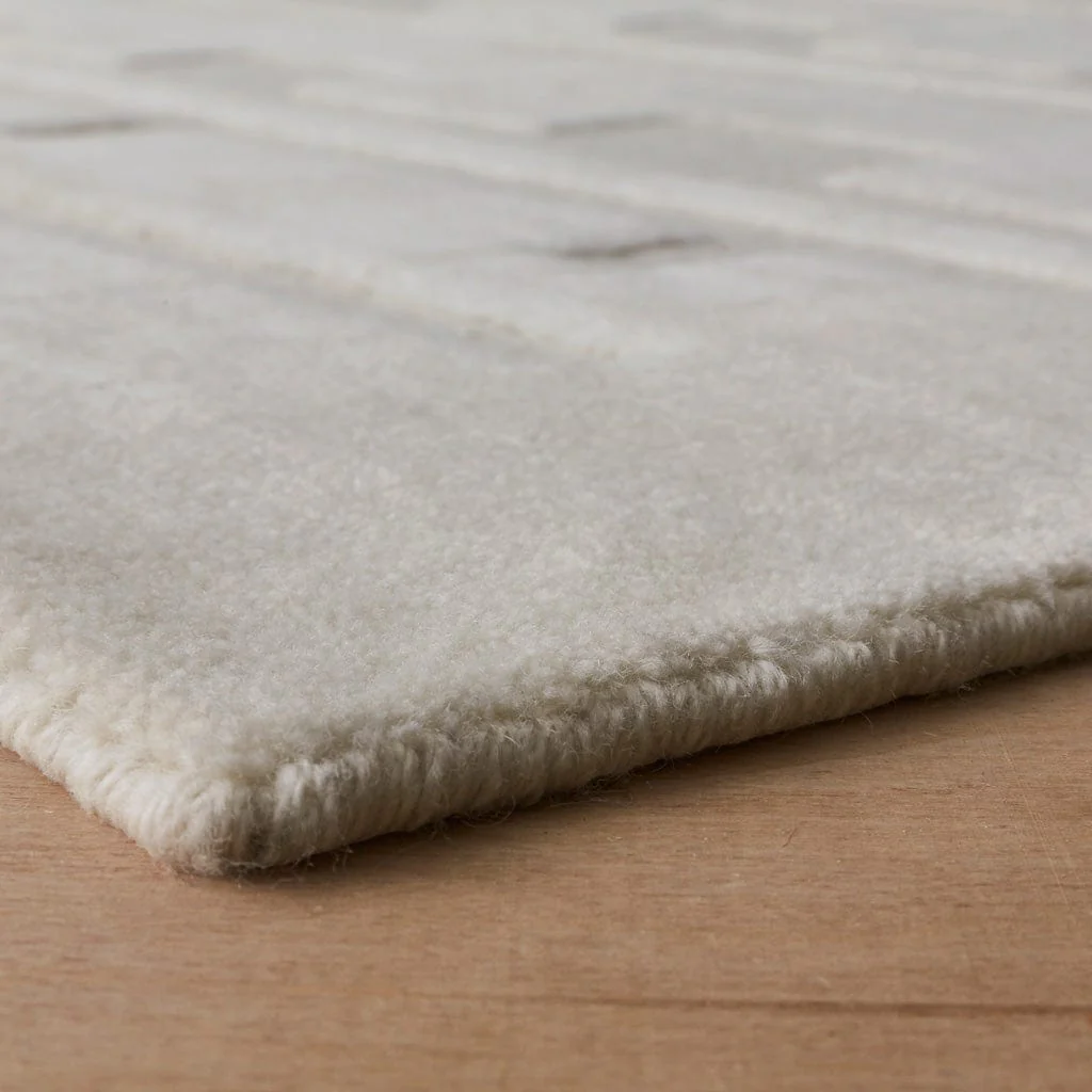 Amyra Hand-Knotted Area Rug