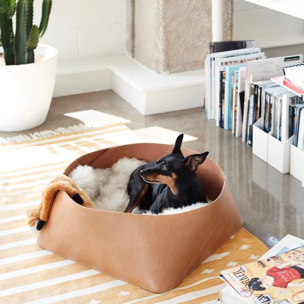 Azad Low Leather Storage Bin