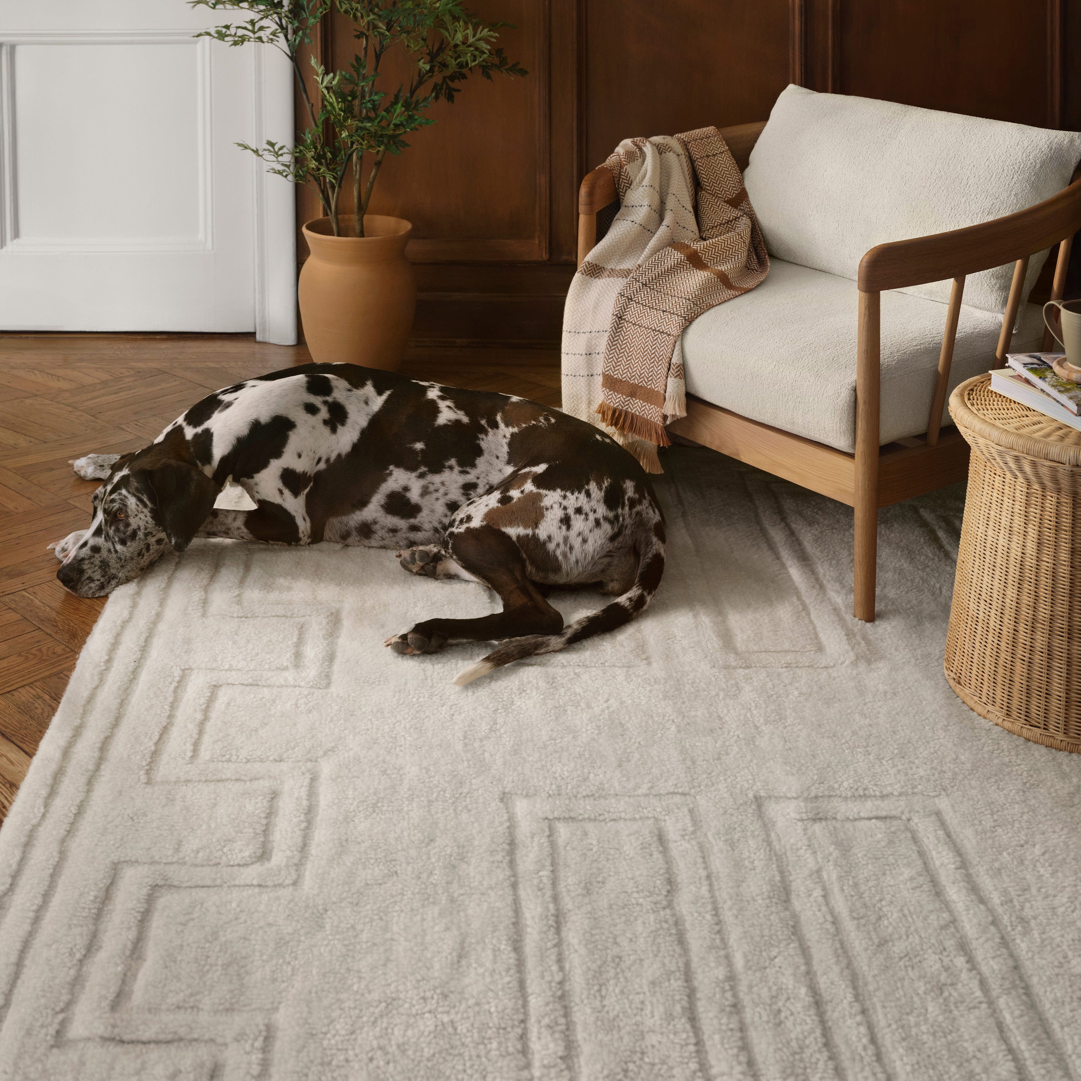 Padma Washable Rug
