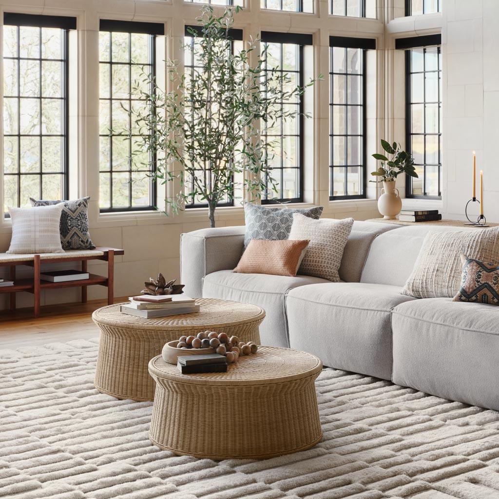 Adini Hand-Knotted Area Rug