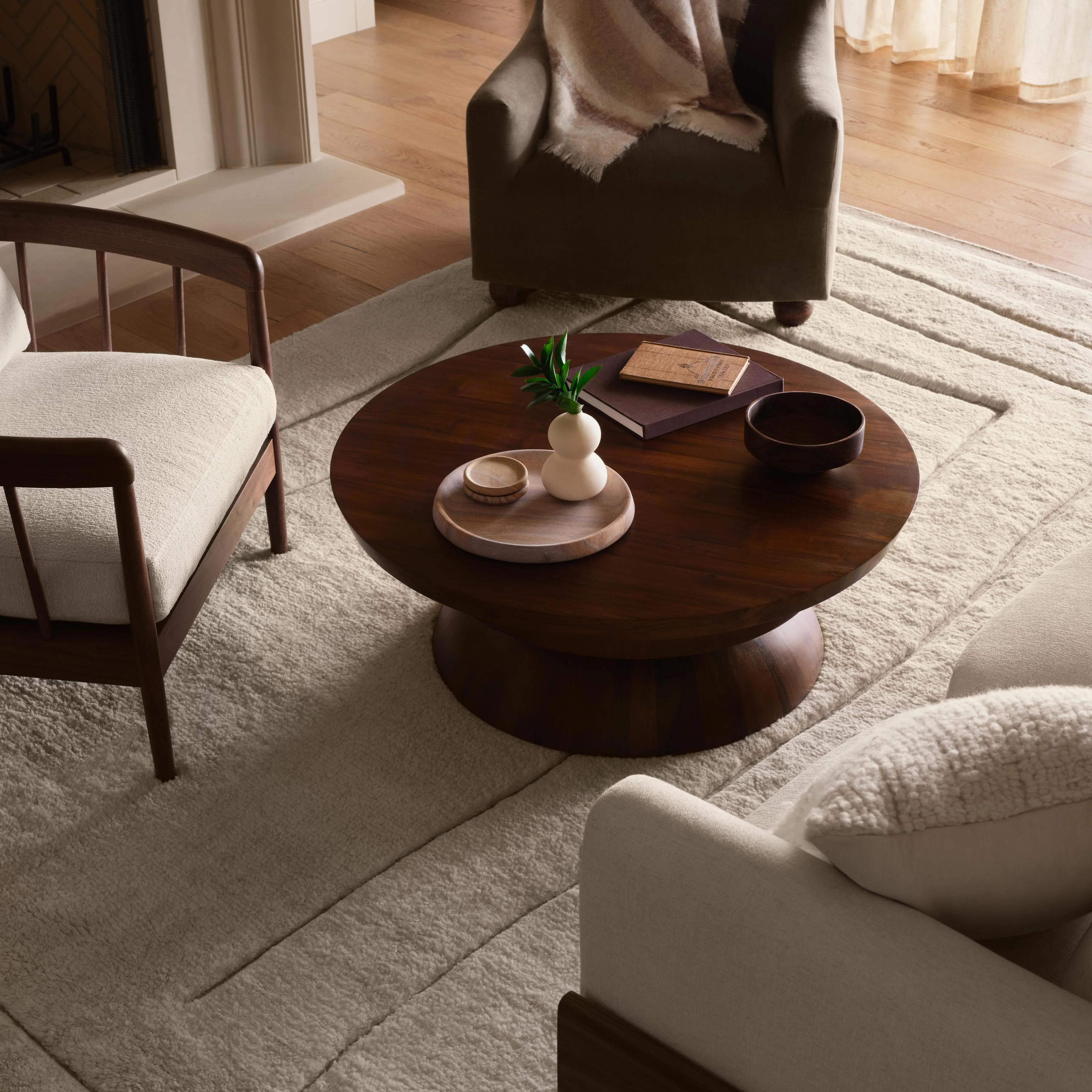 Ishir Hand-Knotted Area Rug