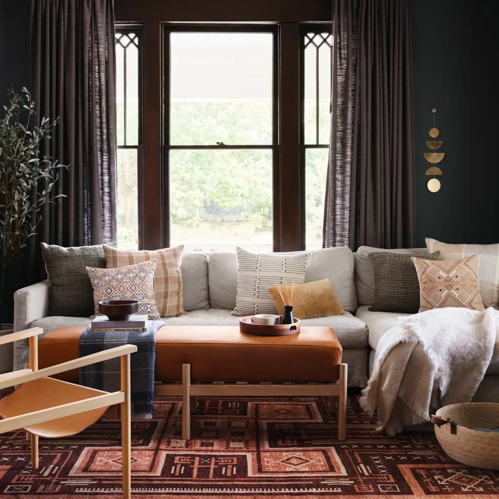 Jagriti Hand-Knotted Area Rug