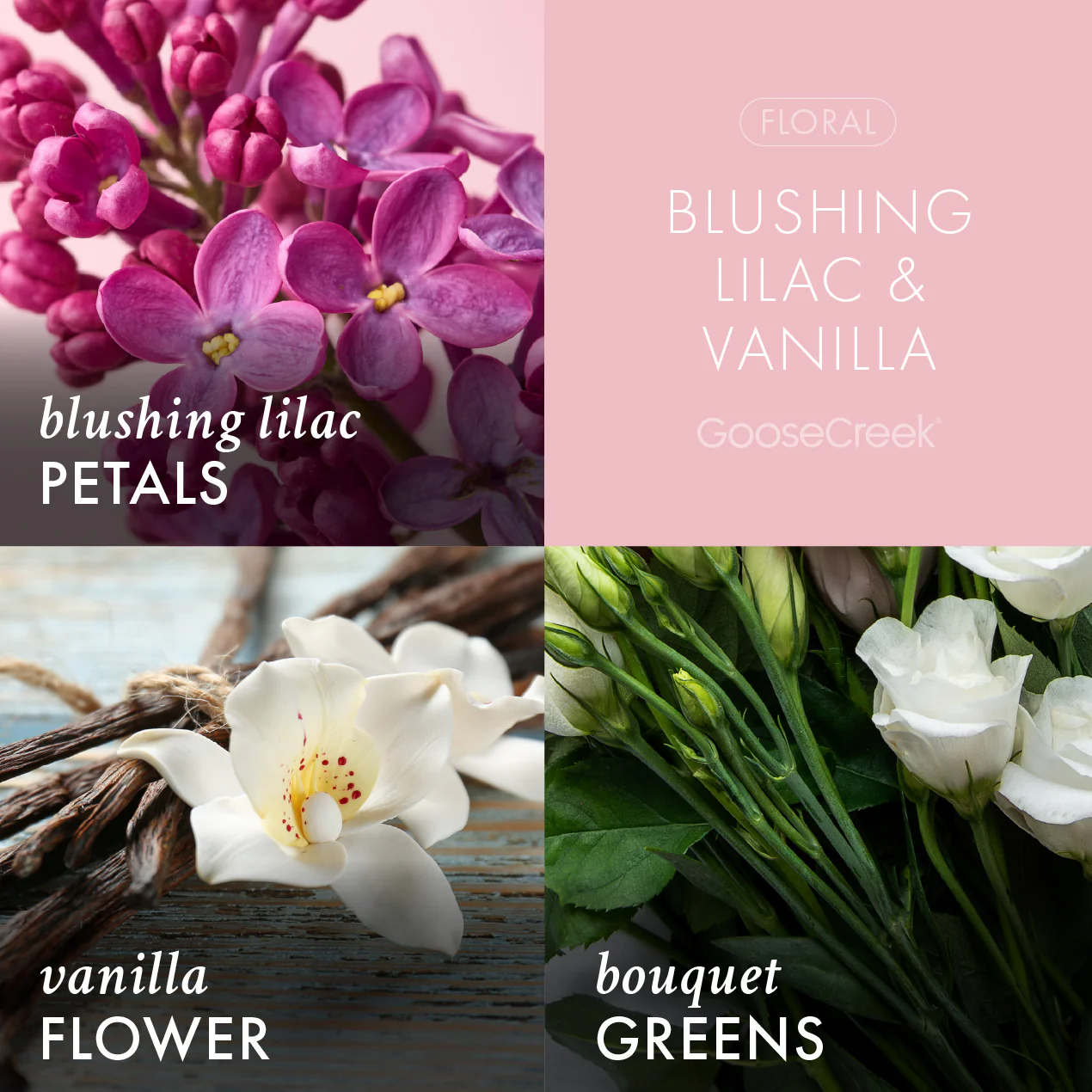 Blushing Lilac & Vanilla Large 3-Wick Candle