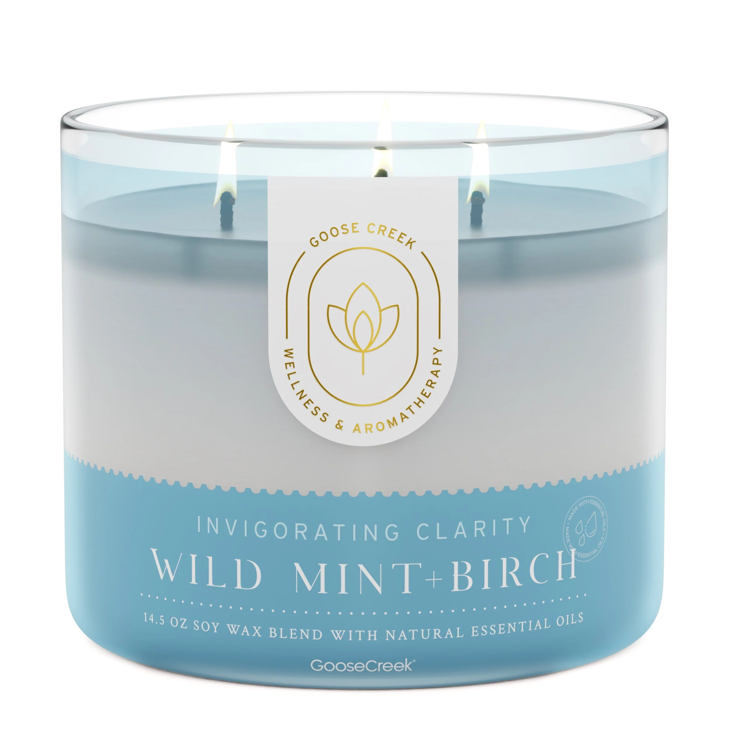 Wild Mint & Birch Aromatherapy 3-Wick Candle