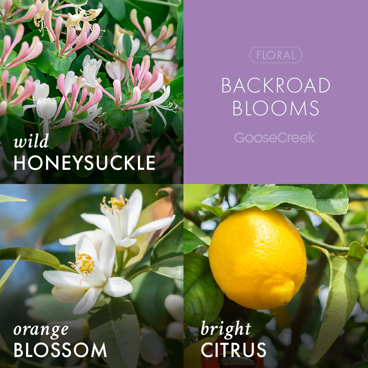 Backroad Blooms 3-Wick Candle