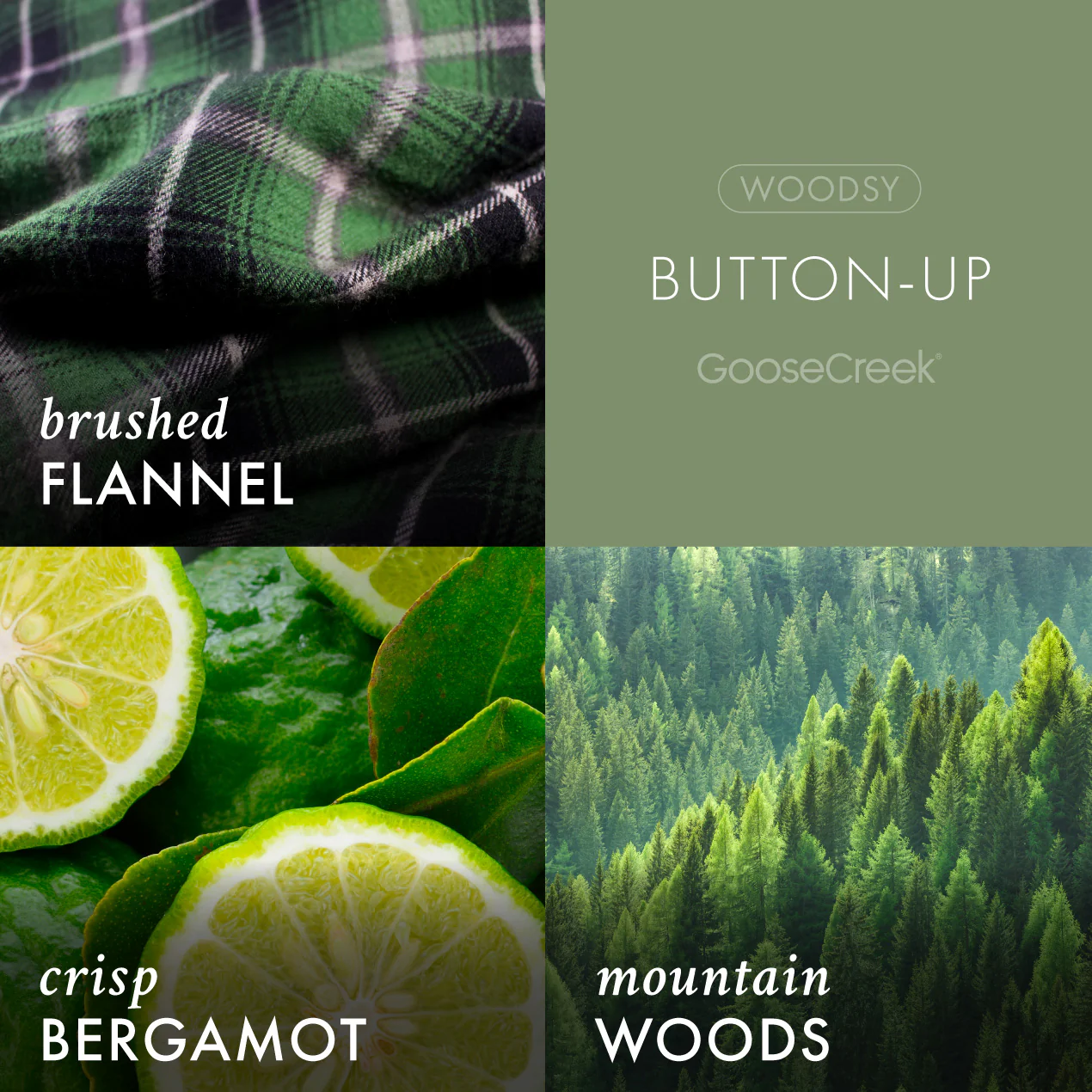 Button-Up Lush Foaming Hand Soap