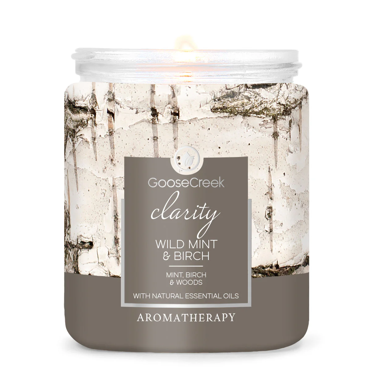 Wild Mint & Birch Aromatherapy 7oz Single Wick Candle