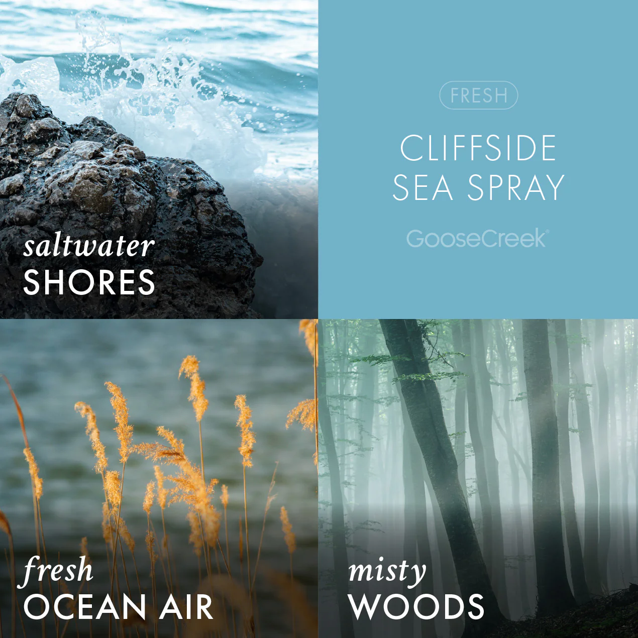 Cliffside Sea Spray Lush Foaming Hand Soap