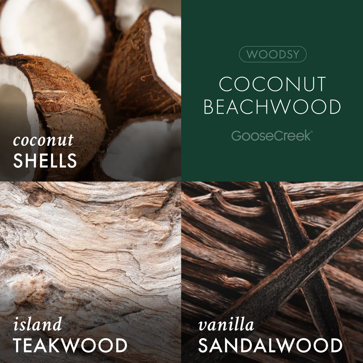 Coconut Beachwood 3-Wick Candle