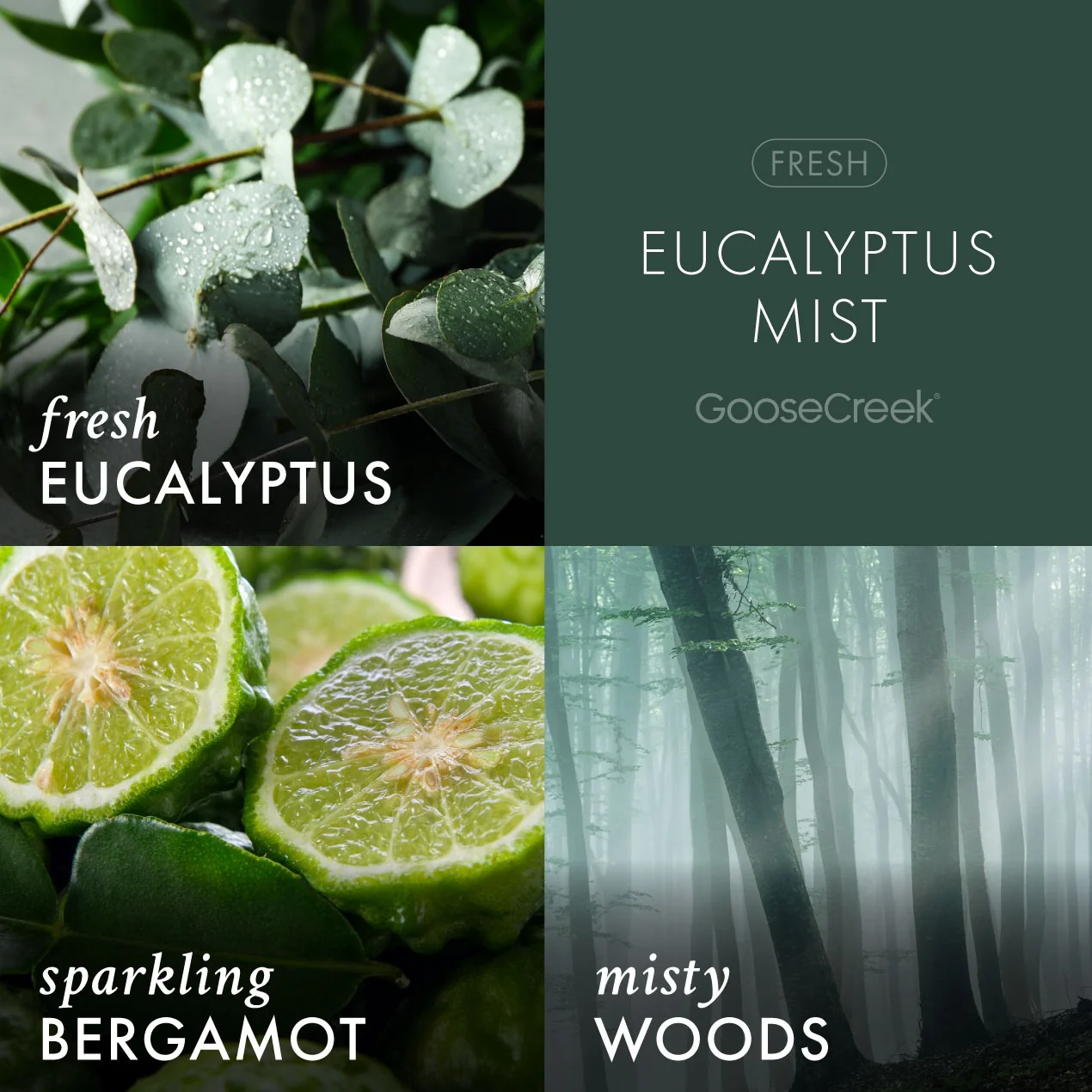 Eucalyptus Mist 3-Wick Candle