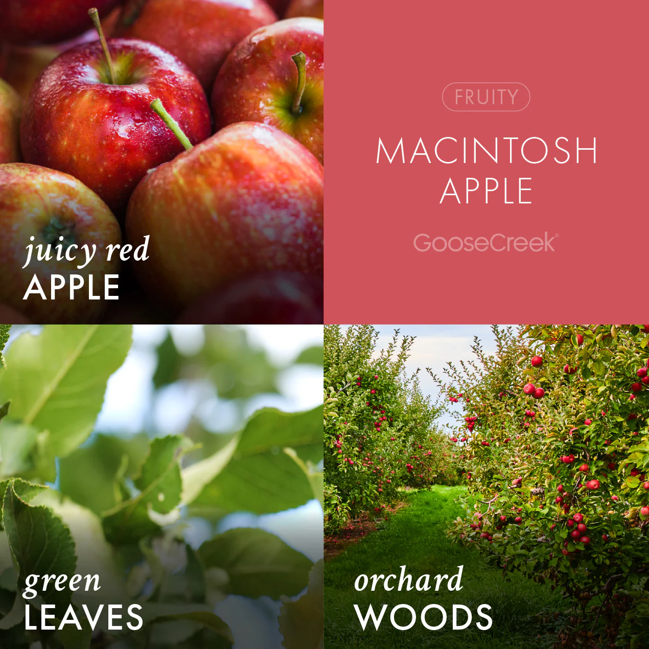 Macintosh Apple Wax Melt