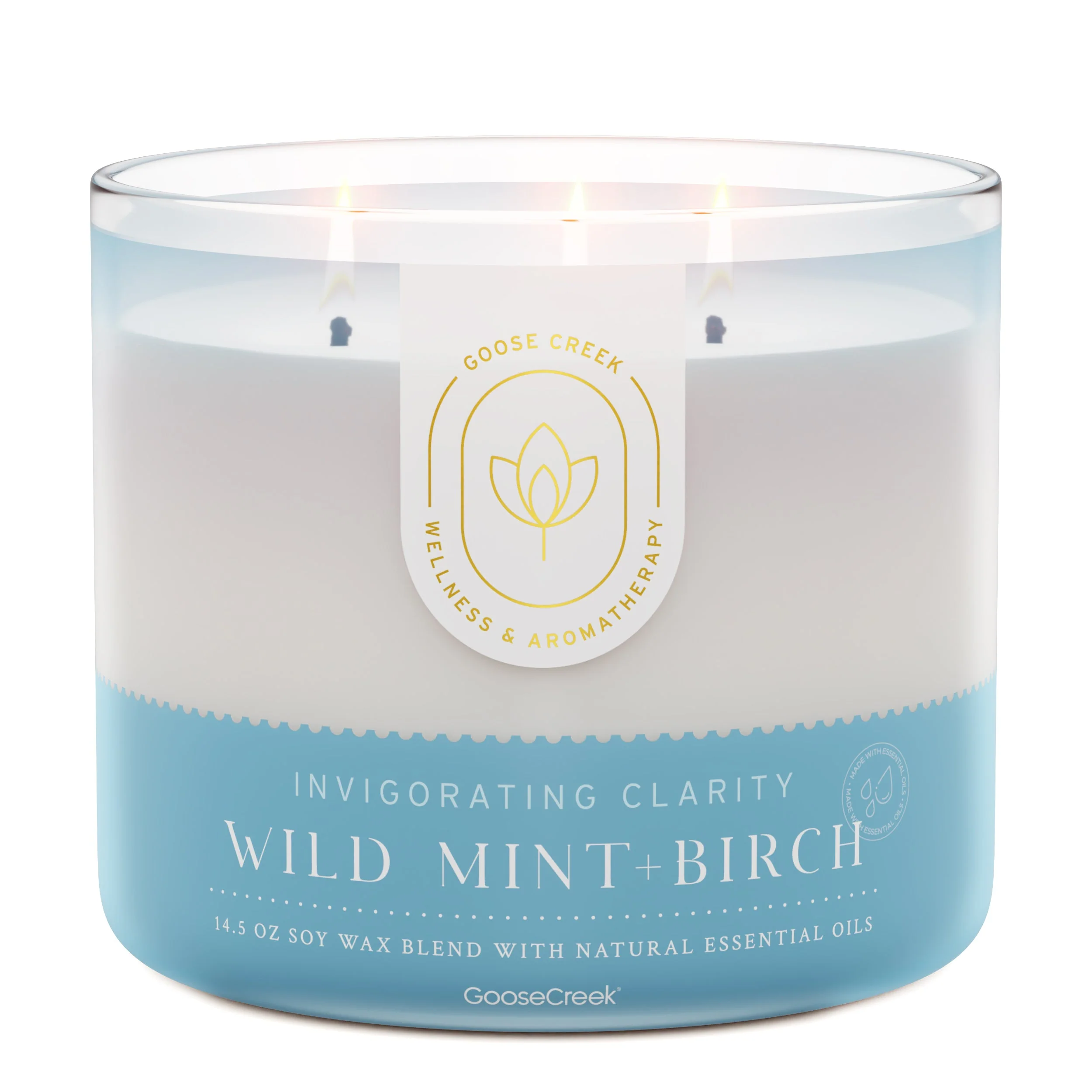 Wild Mint & Birch Aromatherapy 3-Wick Candle