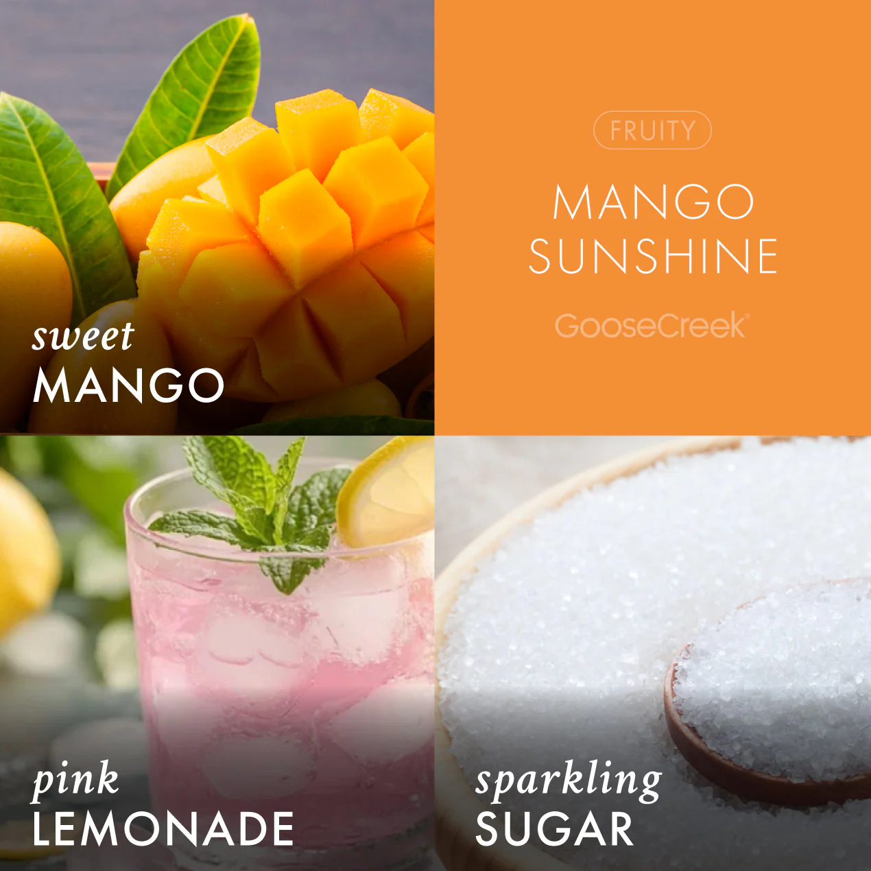 Mango Sunshine 3-Wick Candle