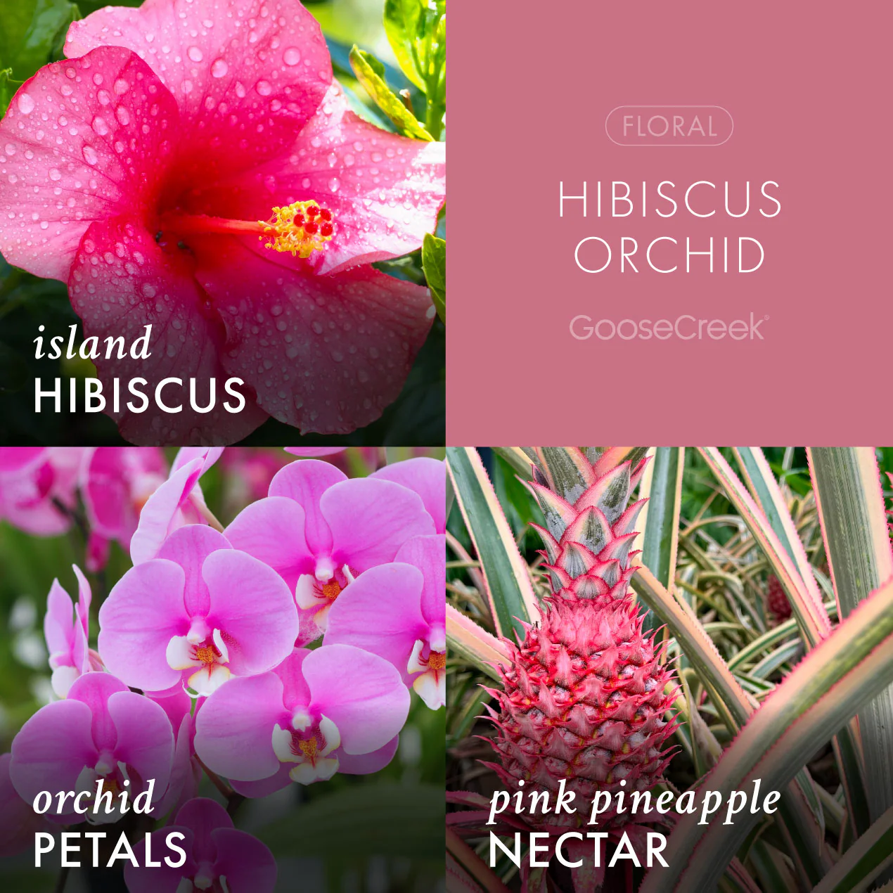 Hibiscus Orchid 3-Wick Candle