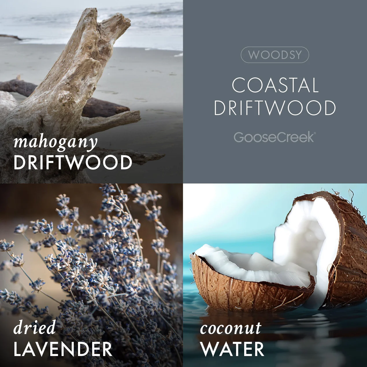 Coastal Driftwood 3-Wick Candle