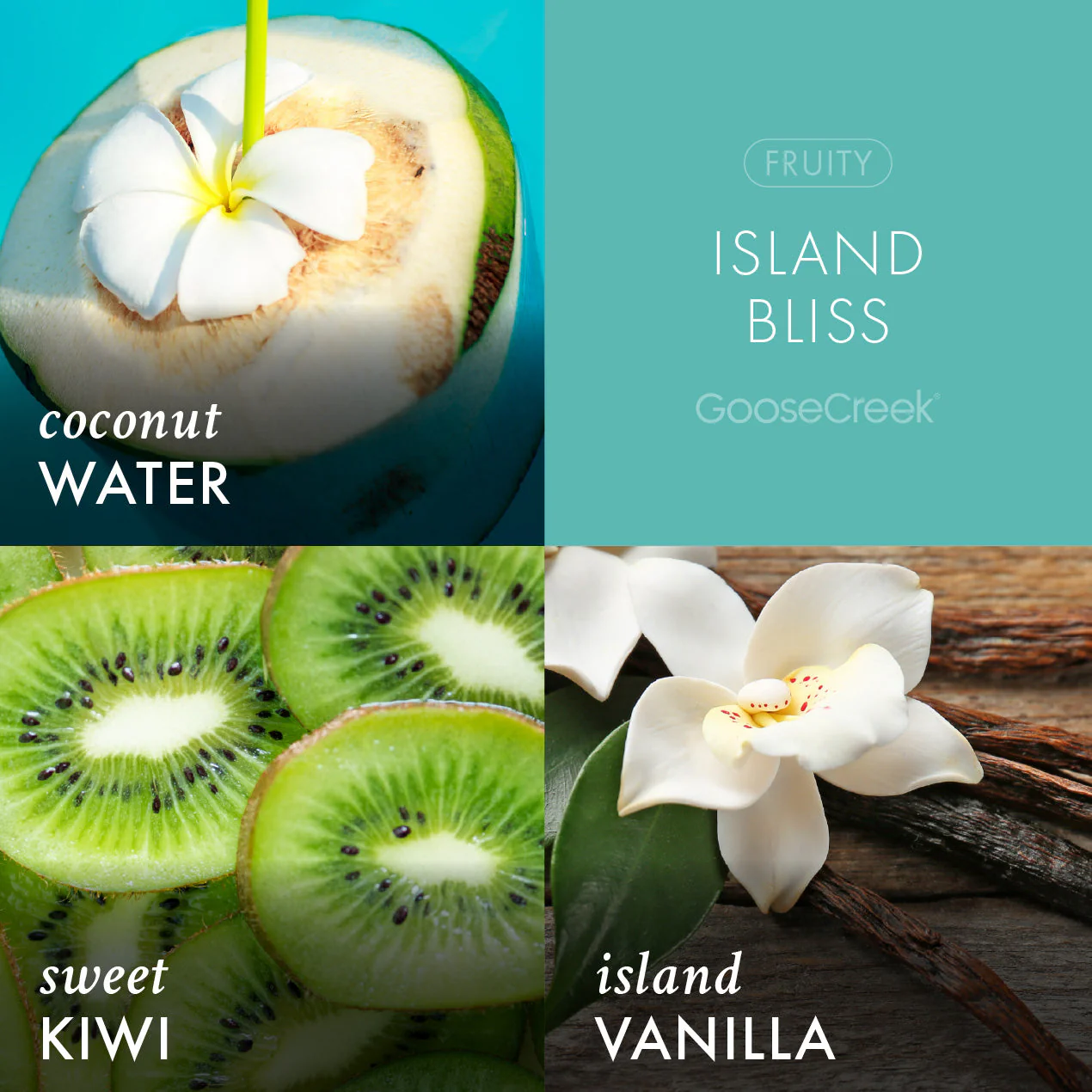 Odor Eliminating Island Bliss 3-Wick Candle