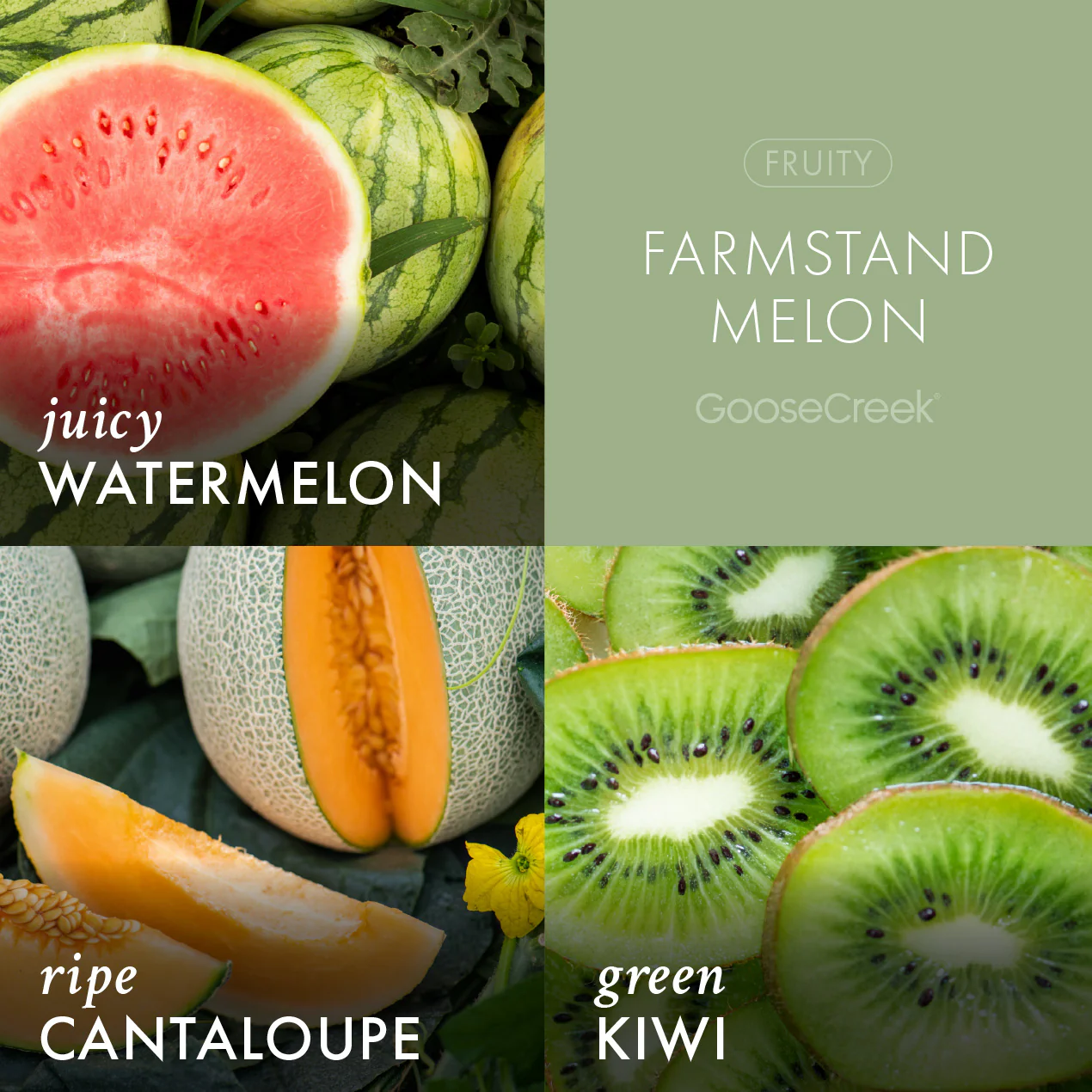 Farmstand Melon Wax Melt