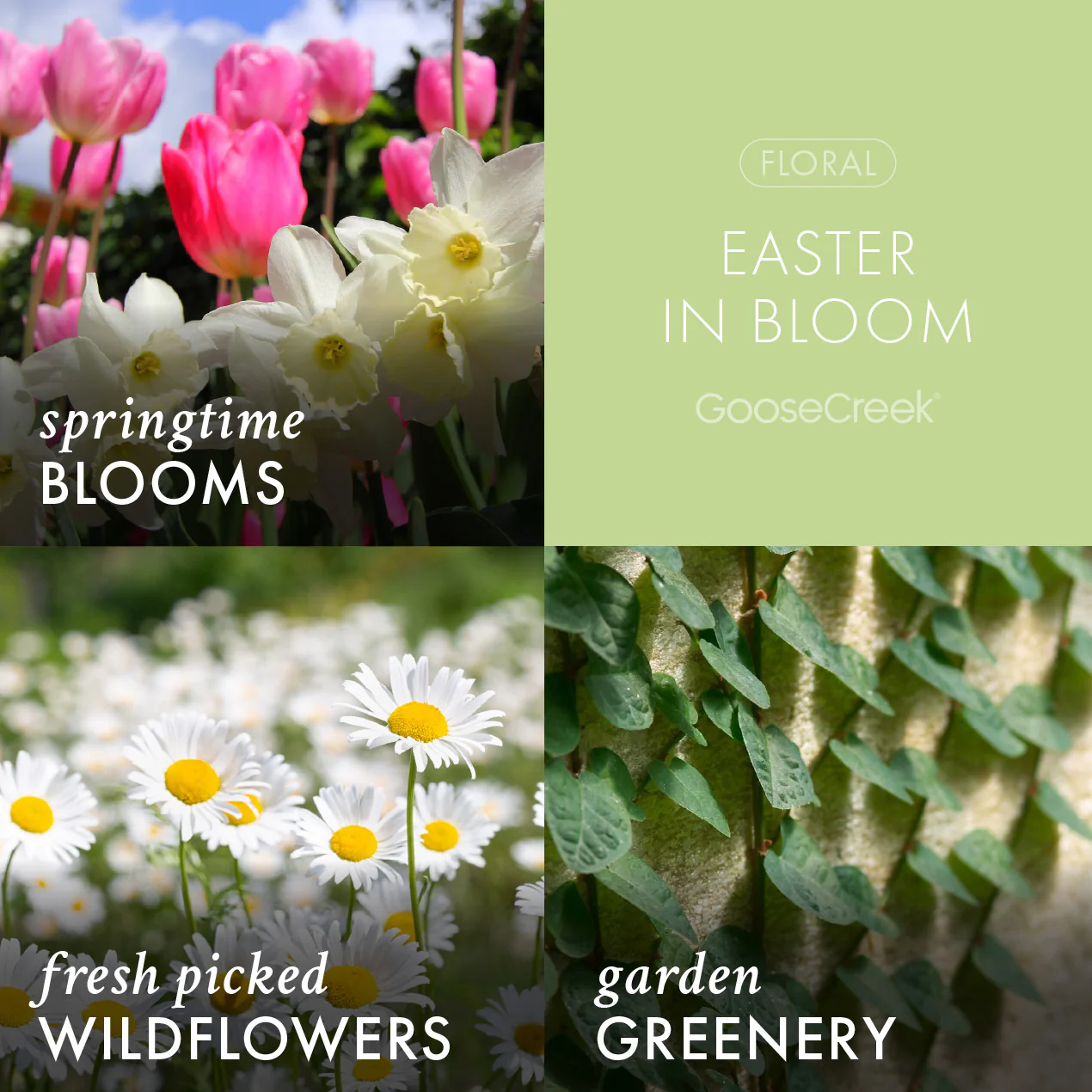 Easter in Bloom Large 3-Wick Candle