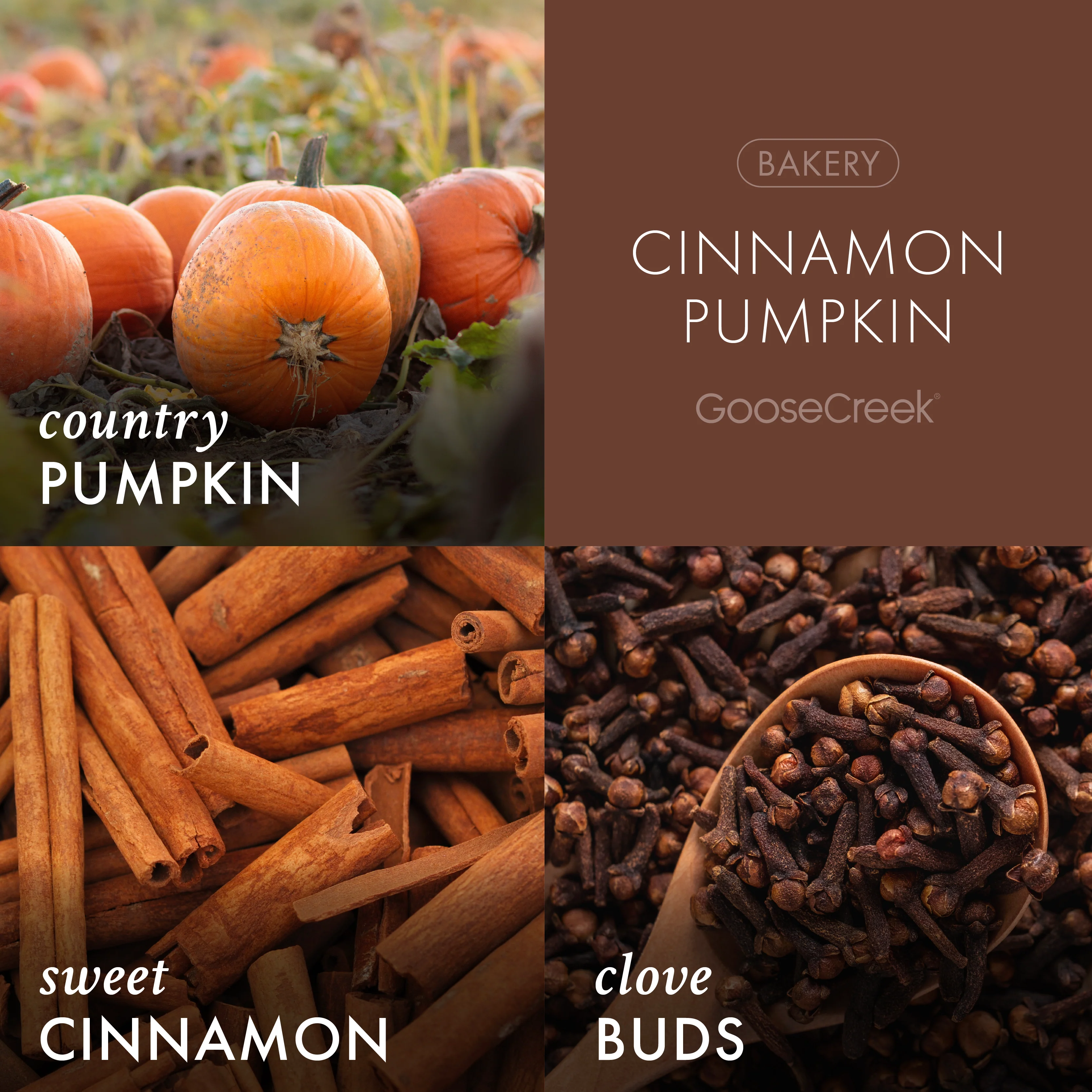 Cinnamon Pumpkin 3-Wick Candle