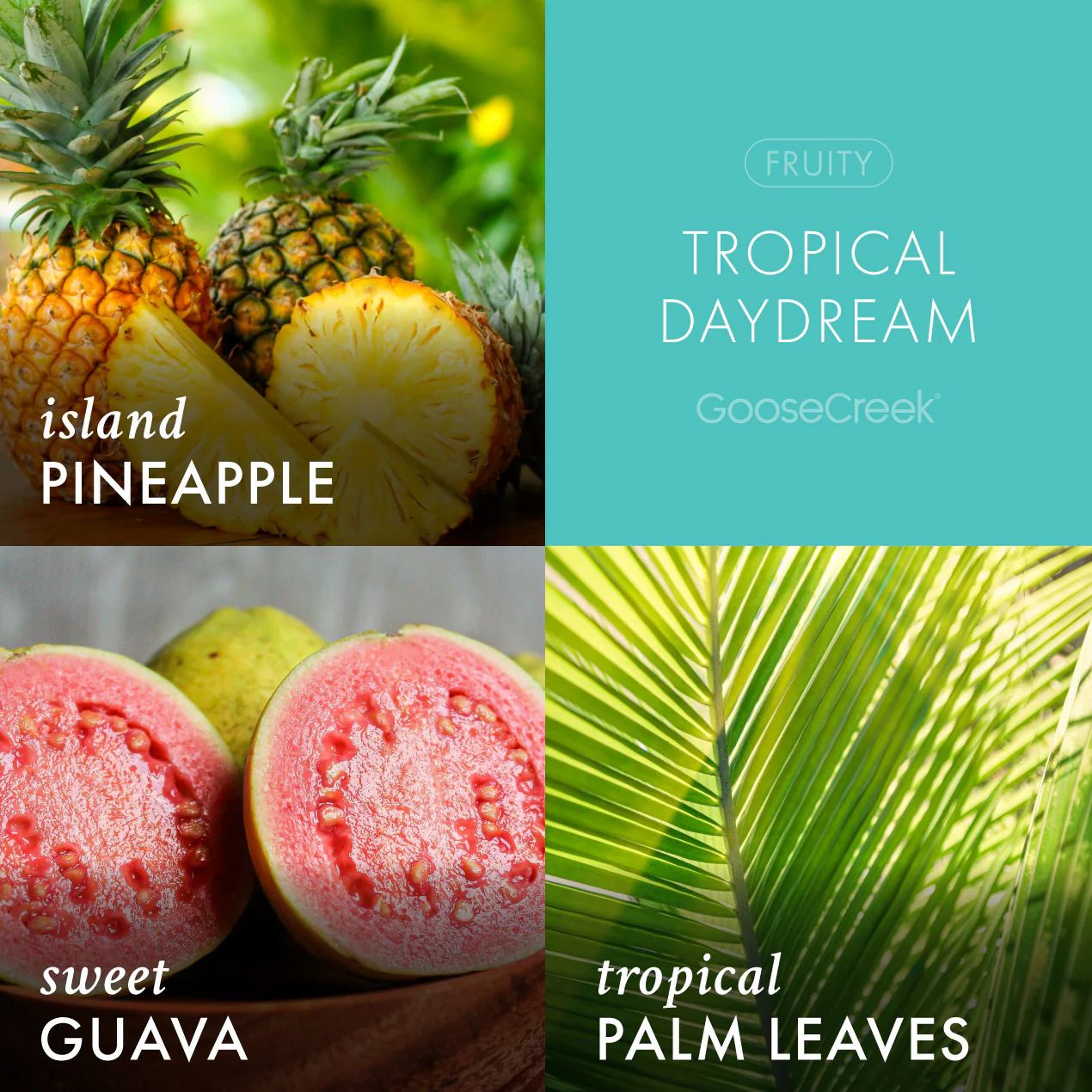 Tropical Daydream 7oz Single Wick Candle