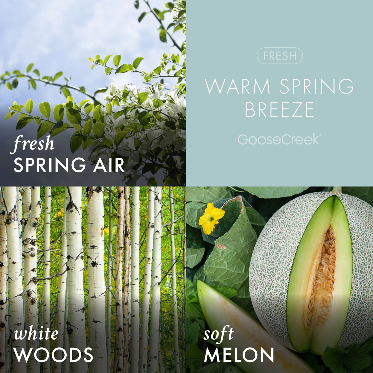 Warm Spring Breeze 3-Wick Candle