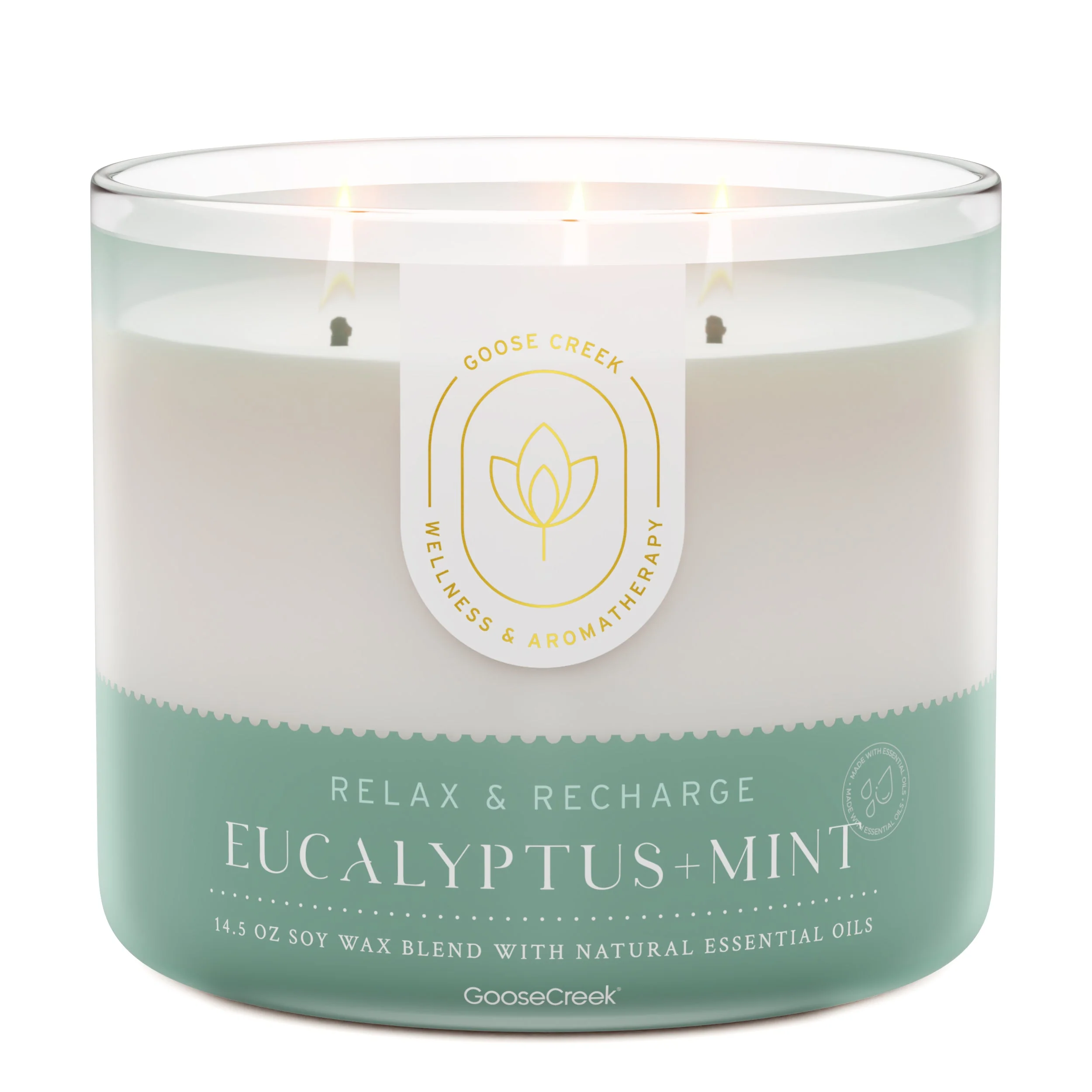 Eucalyptus & Mint Aromatherapy 3-Wick Candle