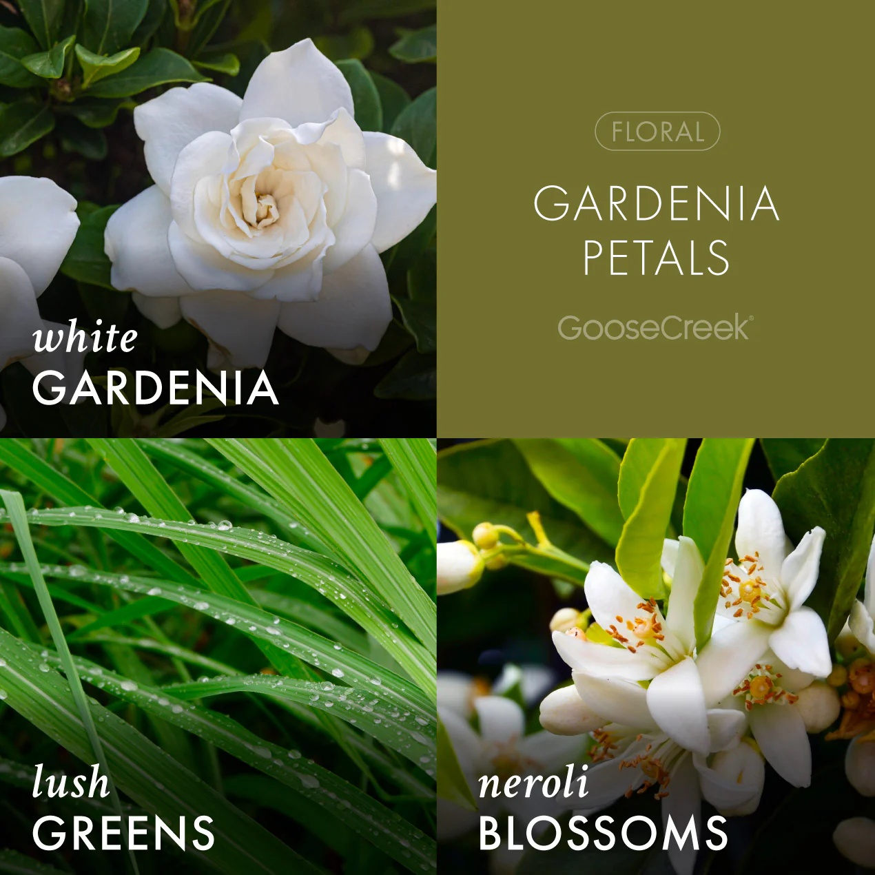 Gardenia Petals Wax Melt